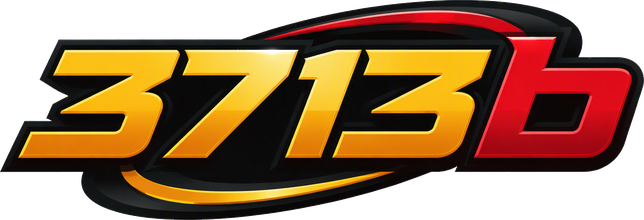 3713b Logo